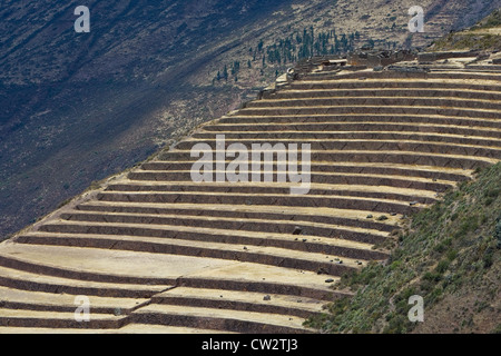 Ruins of Inca city Pisac in mountain landscape, Urubamba, sacred valley of Incas, Peru Stock Photo