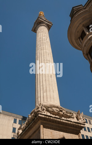 The Monument, commemorating the Great Fire of London in 1666, Monument Street, London, England Stock Photo