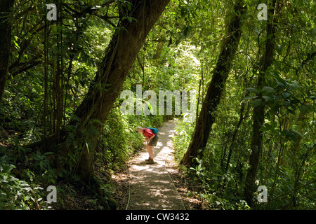 A visitor amid tropical vegetation along secluded path in the Monteverde Cloud Forest Preserve, Costa Rica. Stock Photo