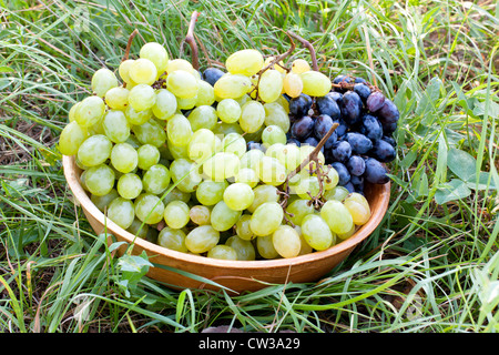 Grapes in the plate on the grass, outdoor Stock Photo