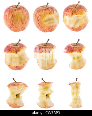 Group of Apples isolated on white background Stock Photo