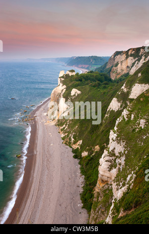 Hooken Cliffs and Hooken Beach from Beer Head, Lyme Bay, Jurassic Coast Stock Photo