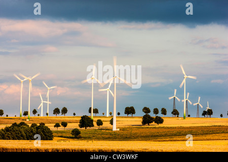 Wind turbines, wind power park, alternative energy production. Meerhof, Northrhine Westfalia, Germany, Europe. Stock Photo
