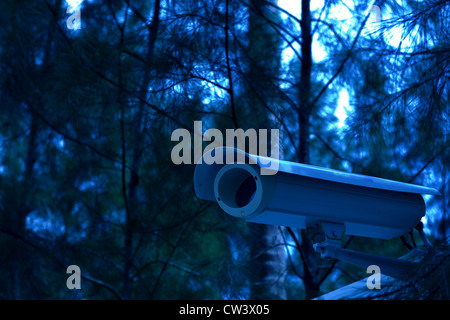 security camera on the fence next to the jungle in night time Stock Photo