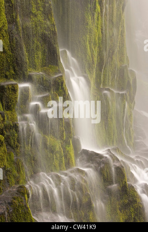 Waterfall on a mountain, Proxy Falls, Willamette National Forest, Oregon, USA Stock Photo