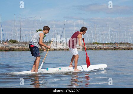 Two teenagers having fun stand up paddling on a windsurf board on a sunny summer day at the beach at Rungsted Harbour, Denmark. Stock Photo