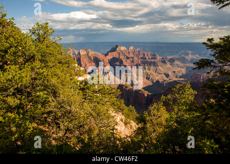 Bright Angel Point, North Rim of Grand Canyon Stock Photo
