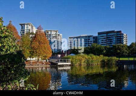 Roma Street Parkland in Brisbane in Queensland, Australia. Stock Photo