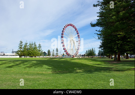 Fremantle Western Australia - The Skyview Observation Wheel in Fremantle, Western Australia. Stock Photo