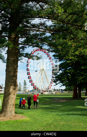 The Skyview Observation Wheel in Fremantle, Western Australia. Stock Photo