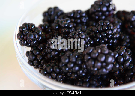 Freshly picked blackberries. Stock Photo