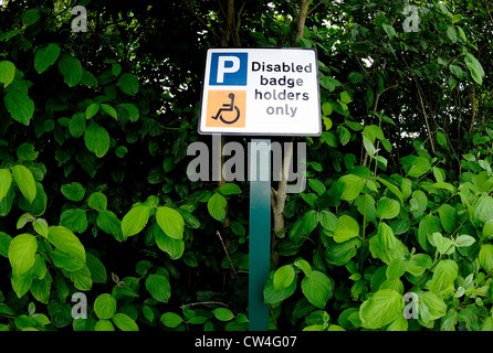 Disabled badge holders only sign mounted onto a metal pole at the side of a overgrown hedge. Stock Photo