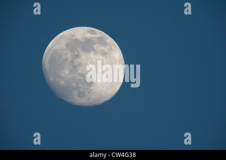 The celestial moon during the day in Nannaj Blackbuck Sanctuary Stock Photo