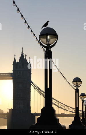London, England. Crow perched on ornamental lamp-post, sunrise, Tower Bridge beyond. Stock Photo