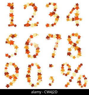 Autumn maples leaves numeral set. Vector illustration. Stock Photo