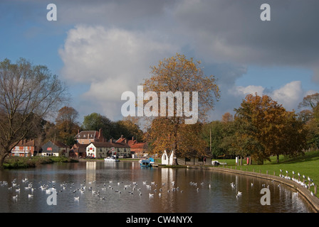 Autumn at Coltishall beside The Common and the River Bure in the Norfolk Broads, with wildlife nearby. Stock Photo