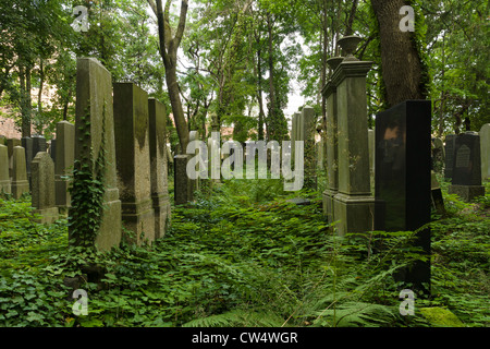 The Old Jewish cemetery in Weissensee. Pankow district, August 10, 2012 in Berlin. Germany Stock Photo