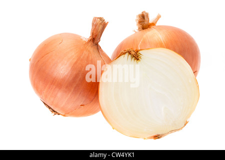 Two and a half white onions - studio shot with a white background Stock Photo