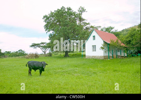 House and cow site  Rorke's Drift/Shiyani Battlefield where on January 22 1879 Anglo Zulu war was fought in KwaZulu-Natal Stock Photo