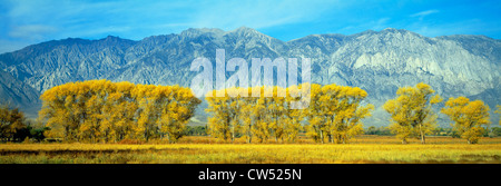 Autumn color along Highway 395, Sierra Nevada, California Stock Photo