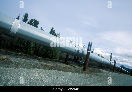 Trans-Alaska Pipeline at Route 4, near Paxson, AK Stock Photo