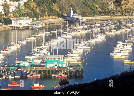 Avalon Harbor, Avalon, Catalina Island, California Stock Photo