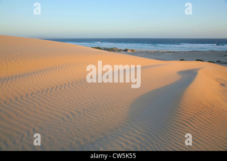 Sand dune at the seaside, Sleaford Bay, Eyre Peninsula, South Australia, Australia Stock Photo