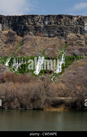 Springs at Thousand Springs State Park along the Snake River in the Hagerman Valley, Idaho, USA. Stock Photo