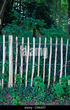 Chestnut Paling stick and wire fencing Stock Photo