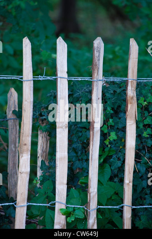 Chestnut Paling stick and wire fencing Stock Photo