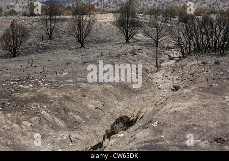 Flood after math showing where water came over a country road, mud and debri threaten farm fields.  Central Utah, summer. Stock Photo