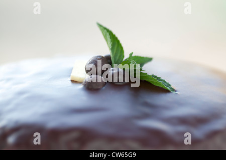 Dark chocolate cake with ganache, espresso beans and mint  Stock Photo