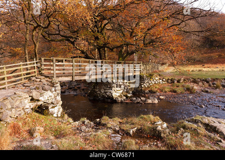 Wooden footbridge over Watendlath Beck in the Autumn, Watendlath, Lake District, Cumbria, England, UK Stock Photo