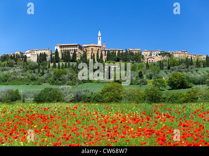 spring in Tuscany, landscape with poppies Stock Photo - Alamy