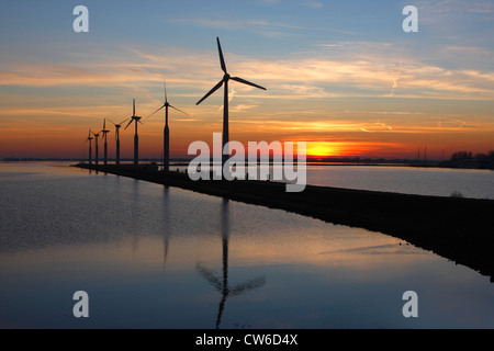 wind wheels at the Ijsselmeer in evening light, Netherlands, Enkhuizen