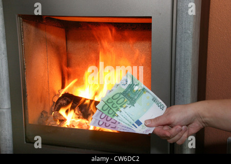 Euro bills pitching in oven, heating costs