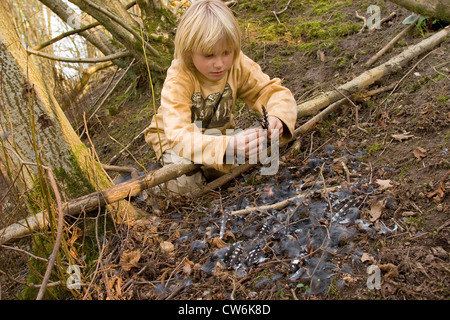 great spotted woodpecker (Picoides major, Dendrocopos major), boy kneeing on forest ground with feathers in hand of a woodpecker hunted down by a northern sparrow hawk , Germany Stock Photo