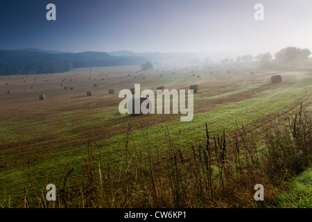 morning fog over extensive meadow with bales of straw, Germany, Saxony, Vogtlaendische Schweiz Stock Photo