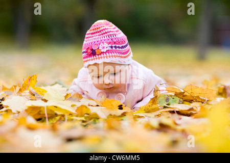 Cute 3-months old baby girl in fallen yellow leaves Stock Photo