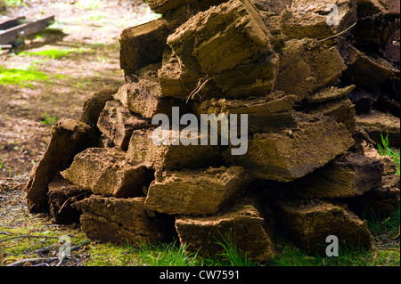 pieces of peat stacked for drying, Germany, Lower Saxony, Landkreis Osterholz, Worpswede