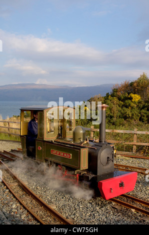 steam engine 'lady of the isles',on the turntable at Torosay, United Kingdom, Scotland, Isle of Mull Stock Photo