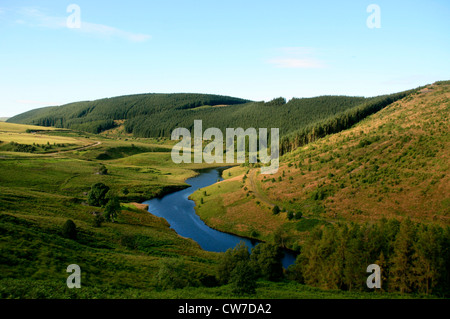 Llyn Brianne and the River Twyi, Near Llanwrtyd Wells, Powys, Wales Stock Photo