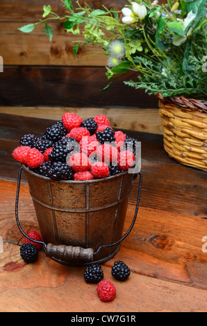 Fresh picked blackberries and raspberries in a galvanized pail on a rustic wooden table. Vertical format Stock Photo