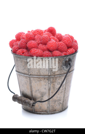 A pail full of freshly picked raspberries. Vertical format isolated on a white background with slight reflection. Stock Photo