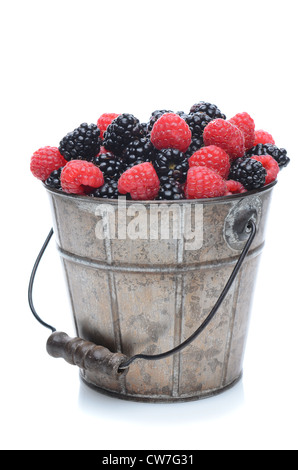 A pail full of freshly picked blackberries and raspberries. Stock Photo