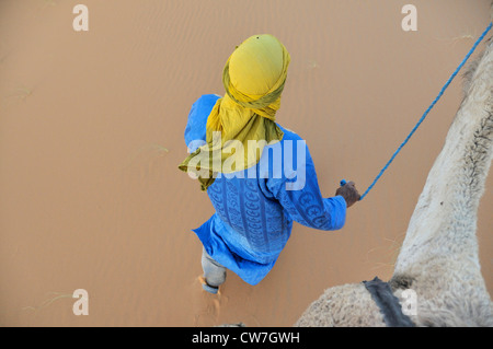 berber in traditional clothing heading a dromedary, Morocco, Erg Chebbi, Sahara Stock Photo