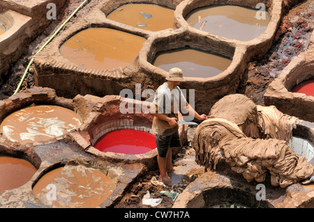 tanners' and dyers' quarter chouwara, Morocco, Fes Stock Photo