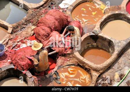 tanners' and dyers' quarter chouwara, Morocco, Fes Stock Photo