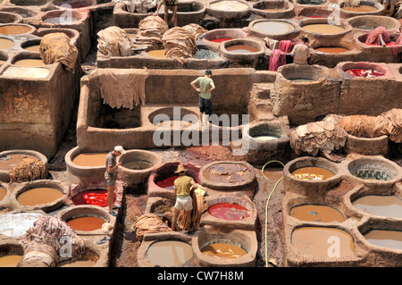 tanners' and dyers' quarter chouwara, Morocco, Fes Stock Photo