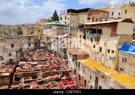 tanners' and dyers' quarter chouwara, Morocco, Fes Stock Photo